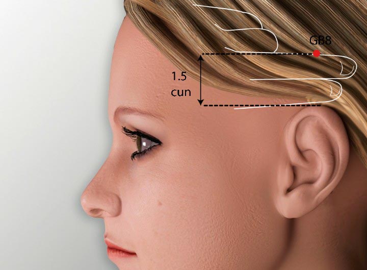 GB8 acupuncture point location - Acupoints.org