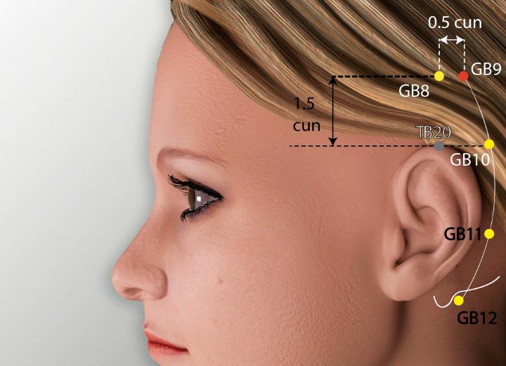 GB9 acupuncture point location - Acupoints.org