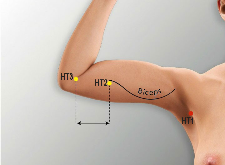 Ht1 acupuncture point location - Acupoints.org