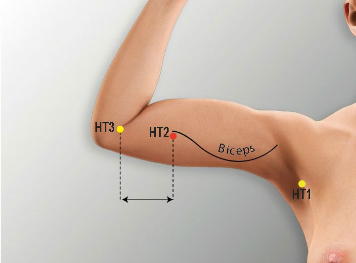 Ht2 acupuncture point location - Acupoints.org