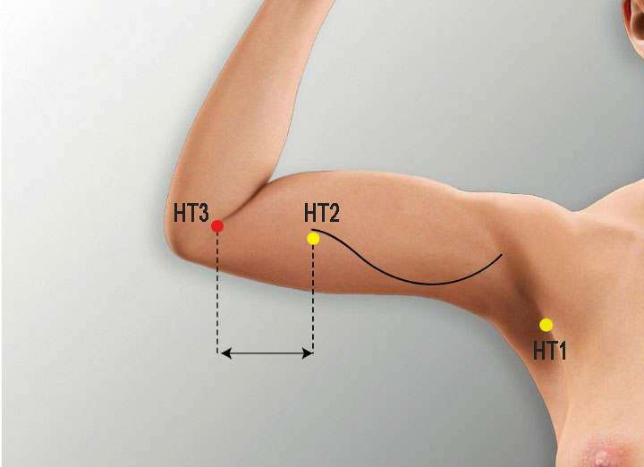 Ht3 acupuncture point location - Acupoints.org