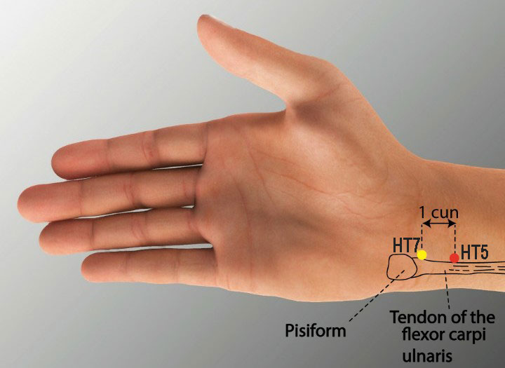 Ht5 acupuncture point location - Acupoints.org