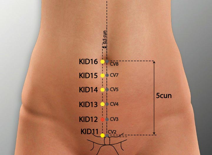 KI12 acupuncture point location - Acupoints.org