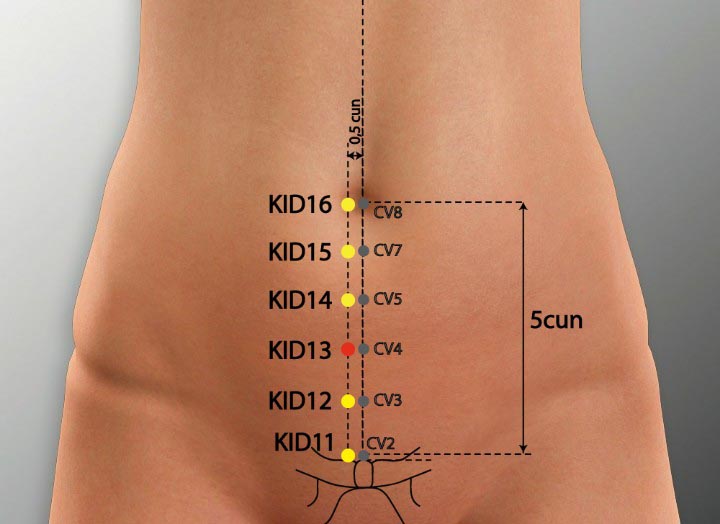 KI13 acupuncture point location - Acupoints.org