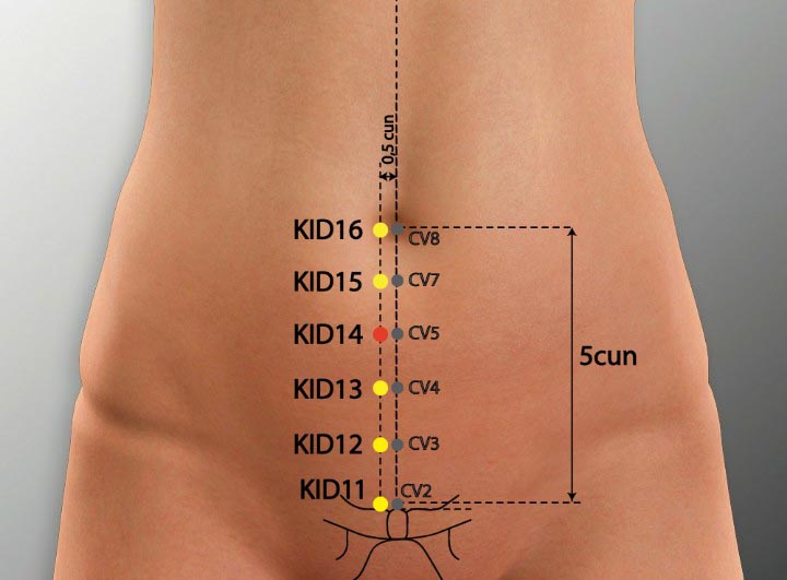 KI14 acupuncture point location - Acupoints.org