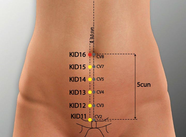 KI16 acupuncture point location - Acupoints.org