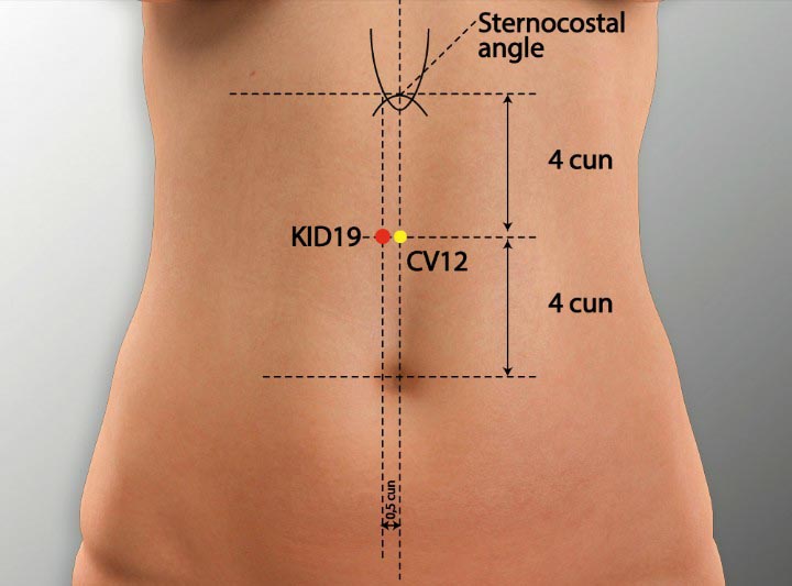 KI19 acupuncture point location - Acupoints.org