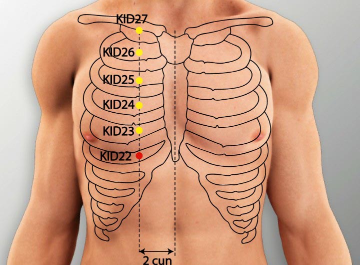 KI22 acupuncture point location - Acupoints.org