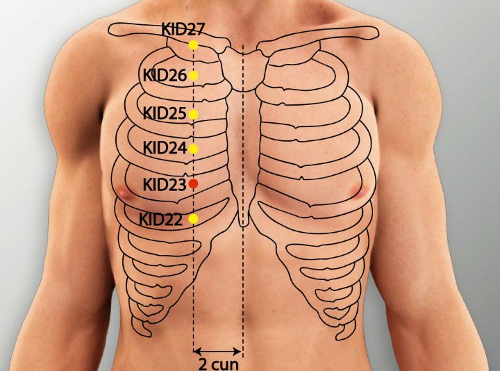 KI23 acupuncture point location - Acupoints.org