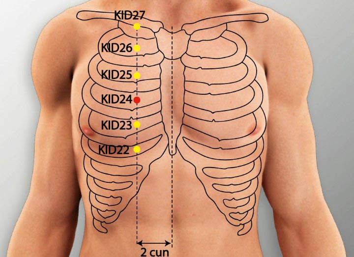 KI24 acupuncture point location - Acupoints.org