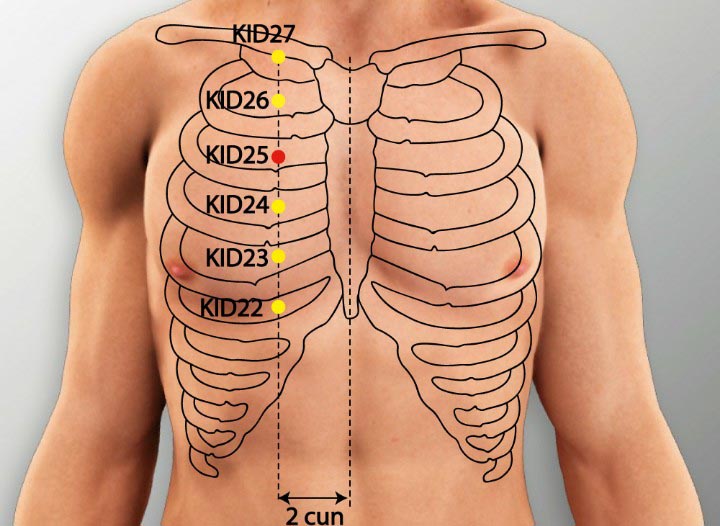 נקודת דיקור כליות KI 25