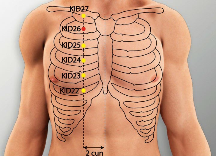 KI26 acupuncture point location - Acupoints.org