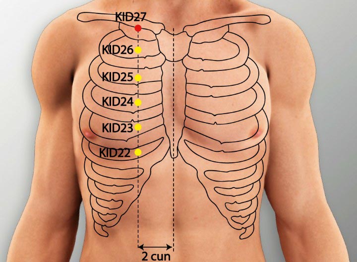 נקודת דיקור כליות KI 27