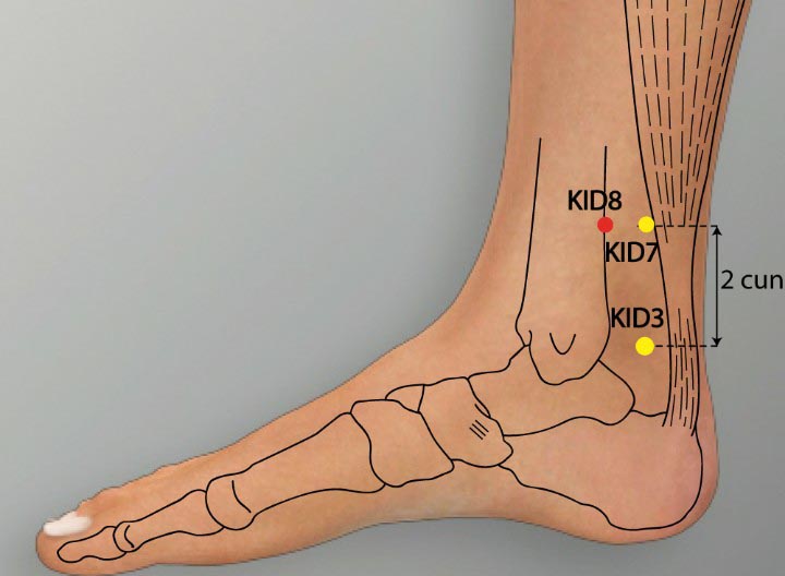 KI8 acupuncture point location - Acupoints.org