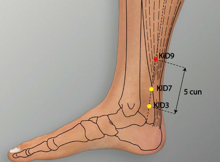 KI9 acupuncture point location - Acupoints.org