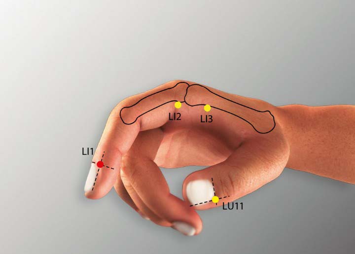 Li1 acupuncture point location - Acupoints.org