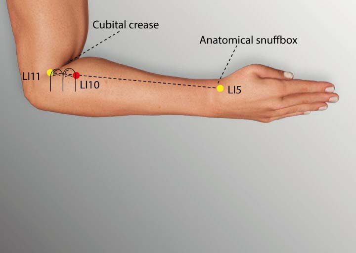 Li10 acupuncture point location - Acupoints.org