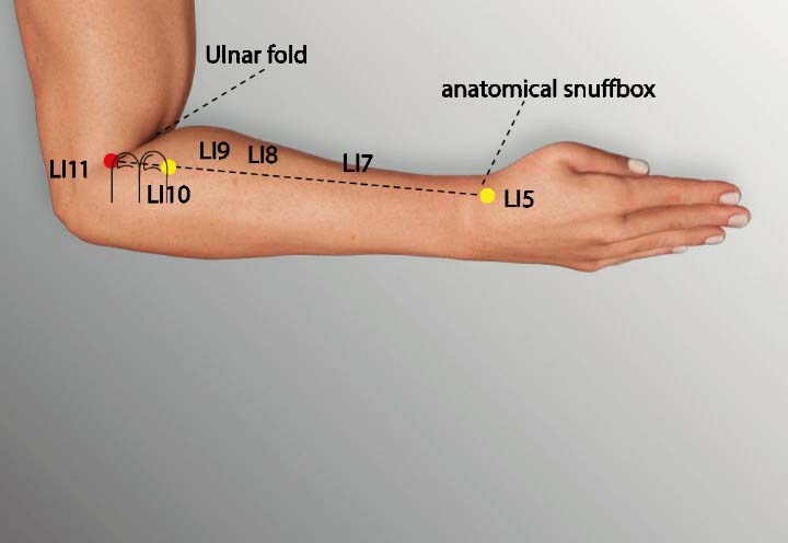 Li11 acupuncture point location - Acupoints.org