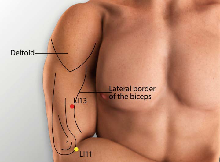 Li13 acupuncture point location - Acupoints.org