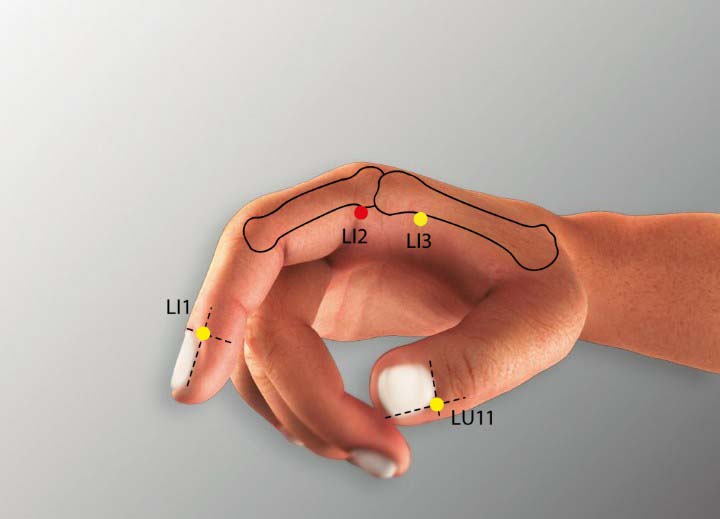 Li2 acupuncture point location - Acupoints.org