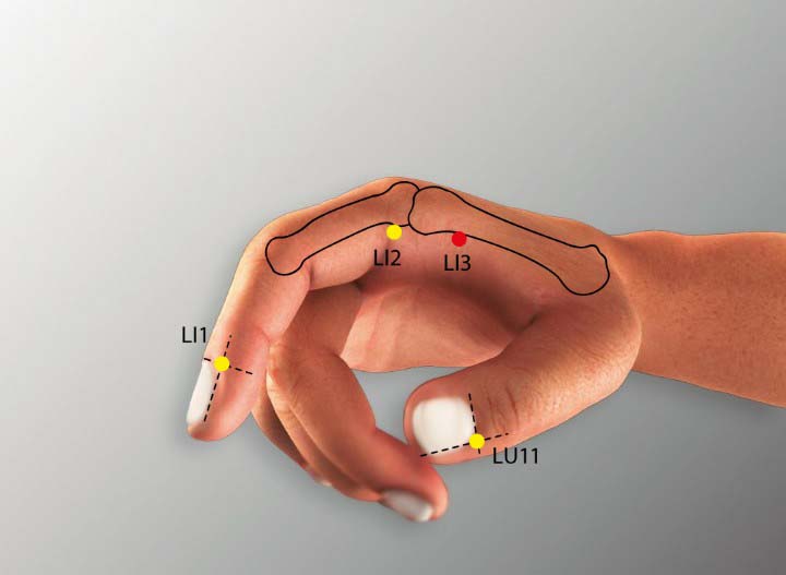 Li3 acupuncture point location - Acupoints.org