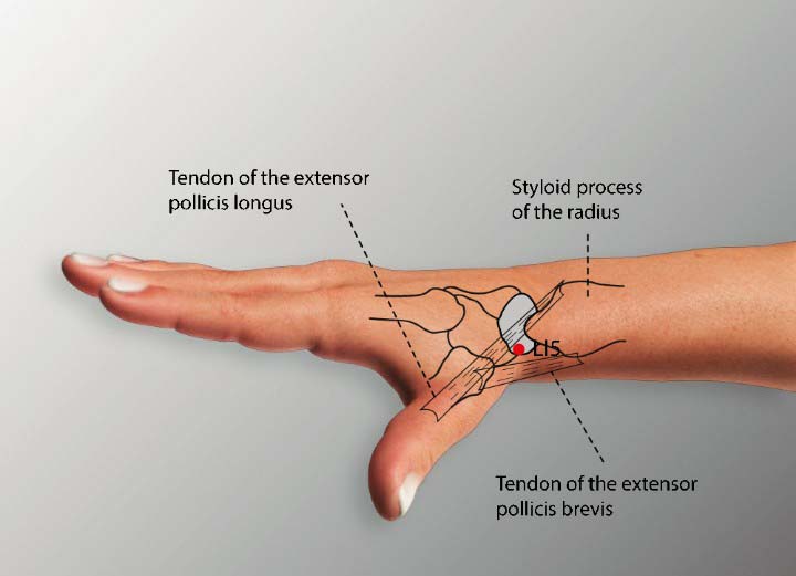 Li5 acupuncture point location - Acupoints.org