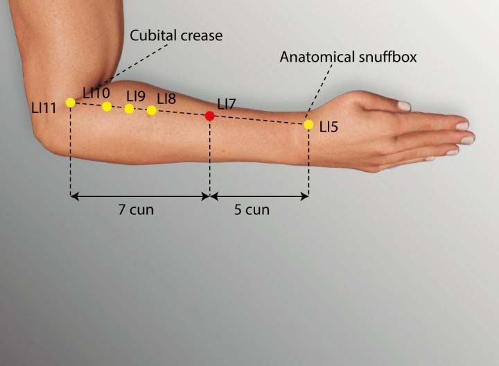 Li7 acupuncture point location - Acupoints.org