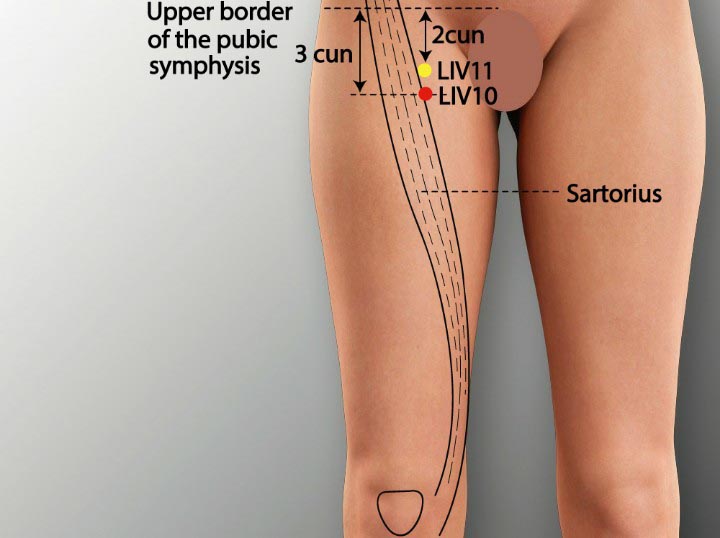 LR10 acupuncture point location - Acupoints.org