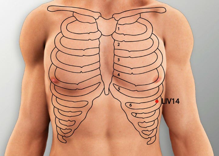LR14 acupuncture point location - Acupoints.org