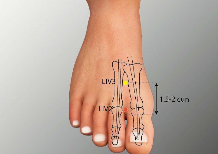 LR2 acupuncture point location - Acupoints.org