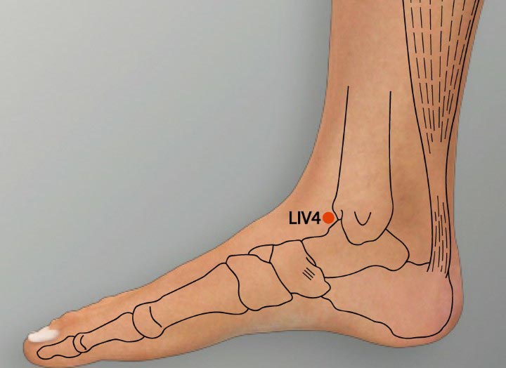 LR4 acupuncture point location - Acupoints.org