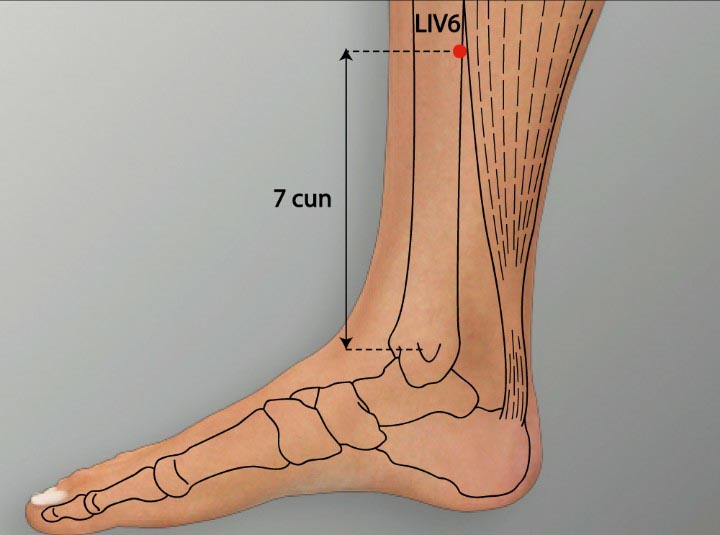 LR6 acupuncture point location - Acupoints.org