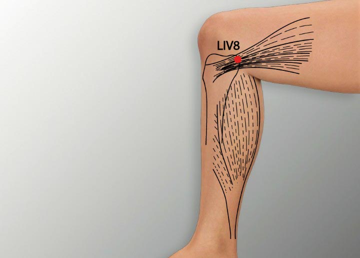 LR8 acupuncture point location - Acupoints.org