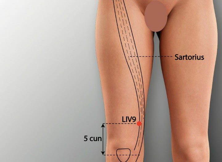 LR9 acupuncture point location - Acupoints.org