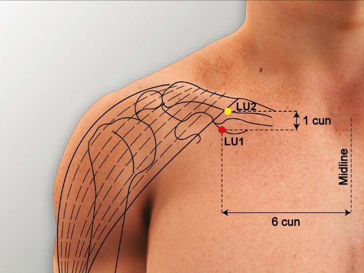 Lu1 acupuncture point location - Acupoints.org