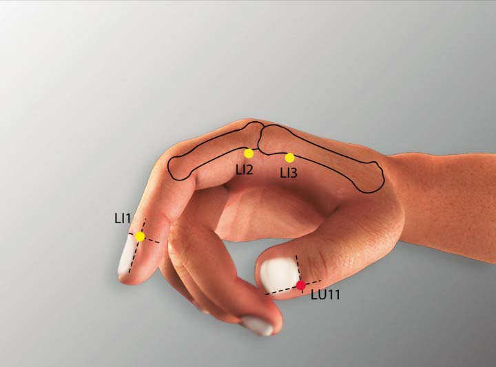 Lu11 acupuncture point location - Acupoints.org