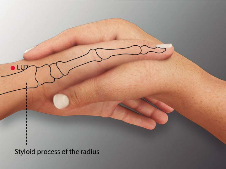 Lu7 acupuncture point location - Acupoints.org