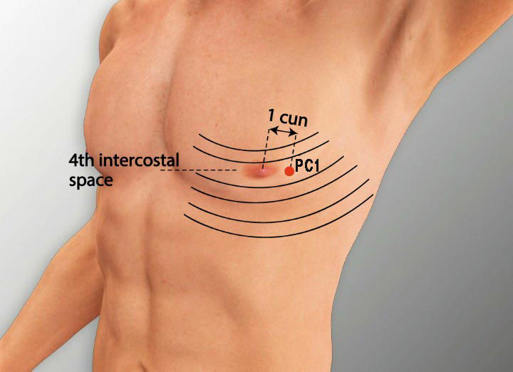 PC1 acupuncture point location - Acupoints.org