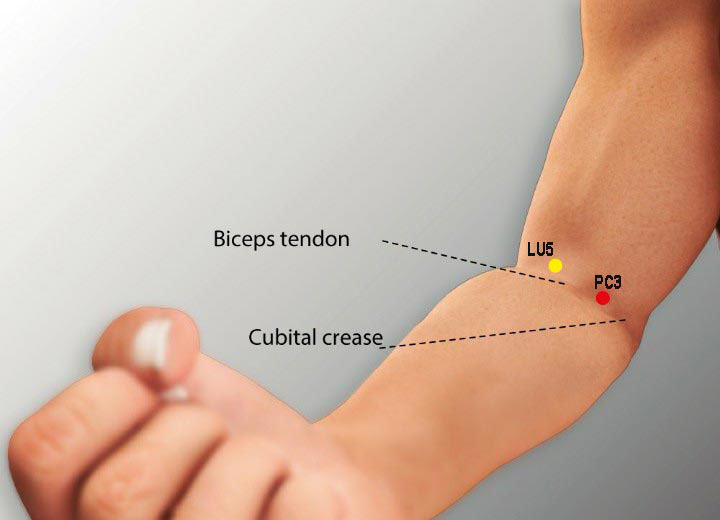 PC3 acupuncture point location - Acupoints.org