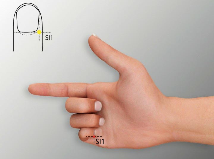 Si1 acupuncture point location - Acupoints.org