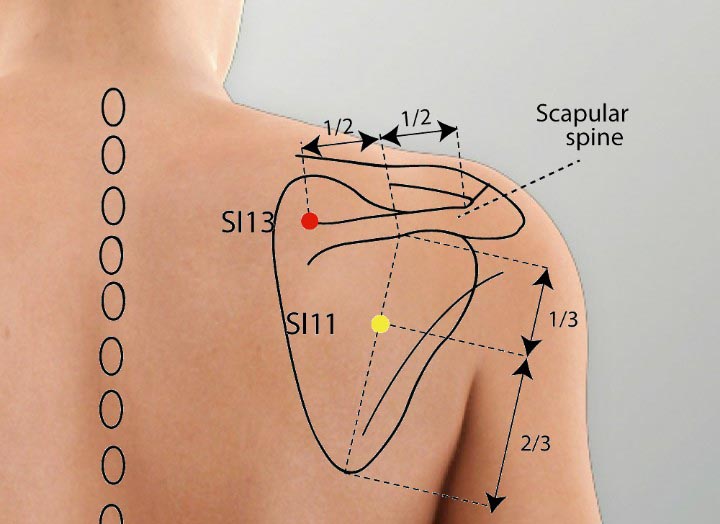 Si13 acupuncture point location - Acupoints.org