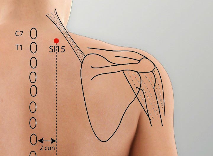 Si15 acupuncture point location - Acupoints.org