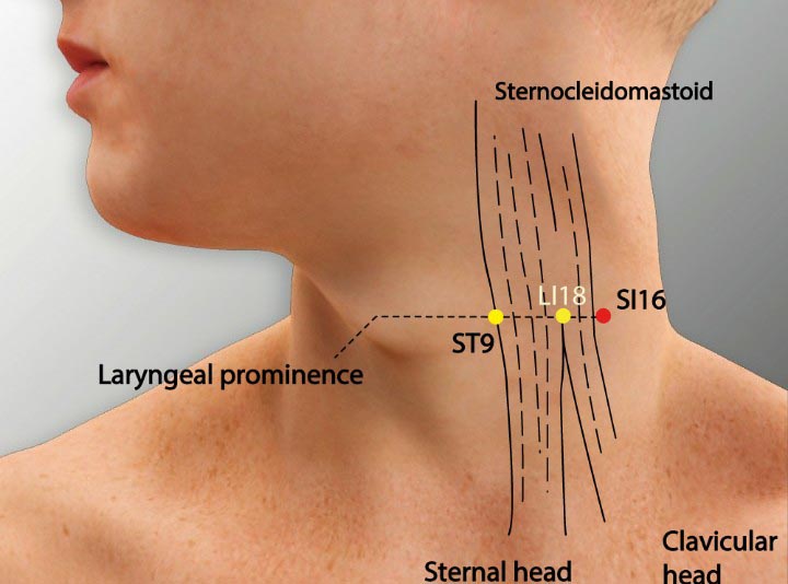 Si16 acupuncture point location - Acupoints.org