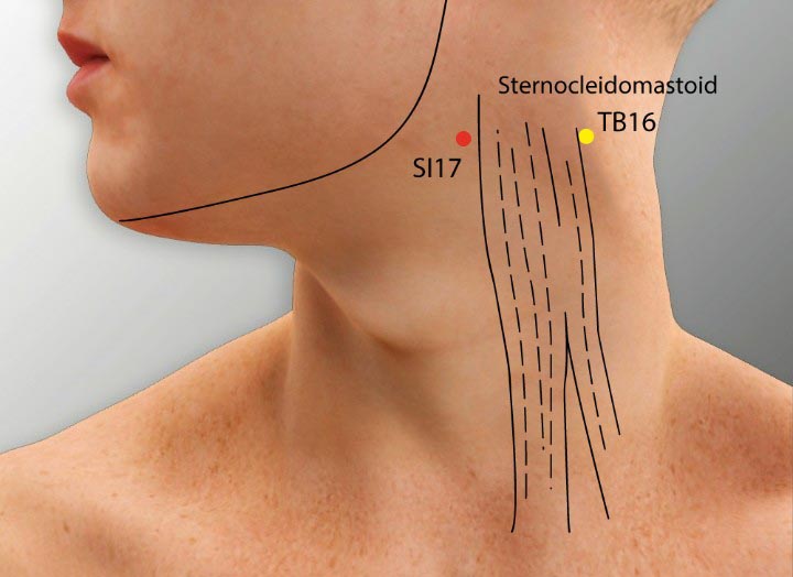 Si17 acupuncture point location - Acupoints.org