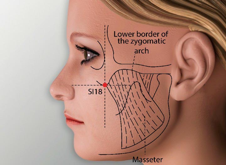 Si18 acupuncture point location - Acupoints.org