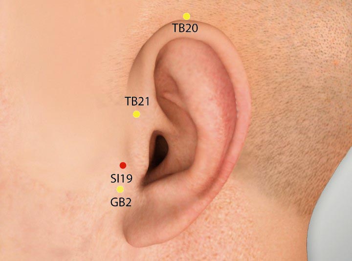 Si19 acupuncture point location - Acupoints.org