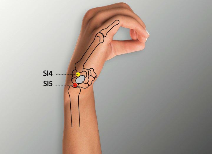 Si5 acupuncture point location - Acupoints.org