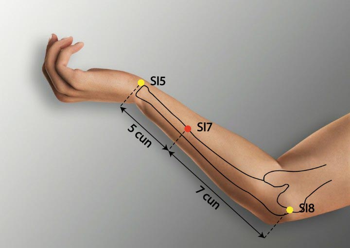Si7 acupuncture point location - Acupoints.org