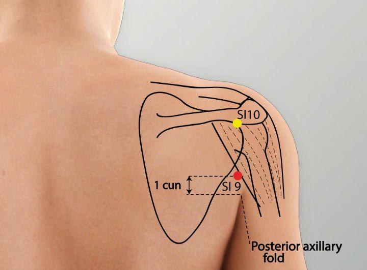 Si9 acupuncture point location - Acupoints.org