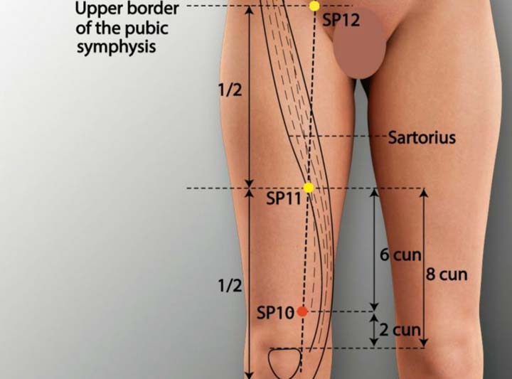 Sp10 acupuncture point location - Acupoints.org